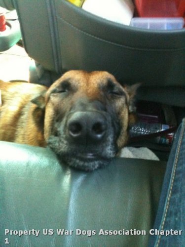 RIVER retired MWD in his car