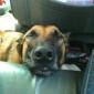 RIVER retired MWD in his car