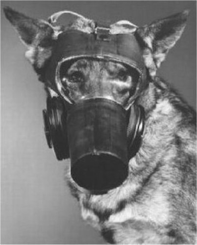 ww2 dog gas mask