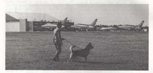 USAF Training Manual_Page_13a
